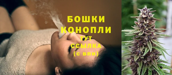 дмт Горнозаводск