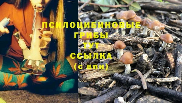 MESCALINE Горняк