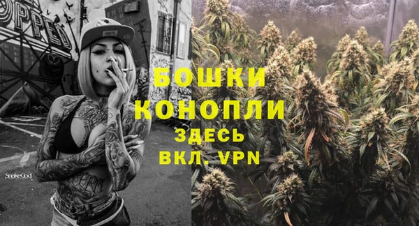 дмт Горнозаводск
