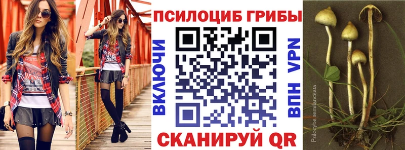 Псилоцибиновые грибы Psilocybine cubensis  Купить где  Артёмовск 